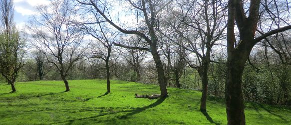 Friends of Broadhurst Park