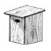 drawing of a nest box