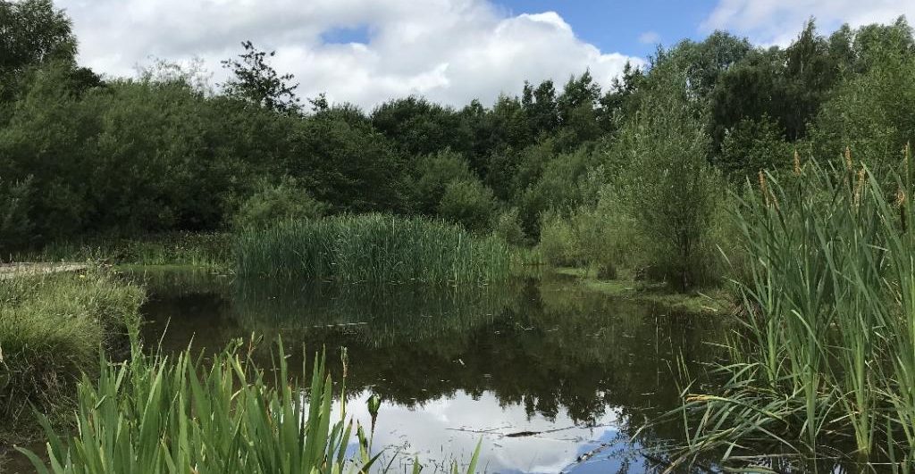 Friends of Broadhurst Park