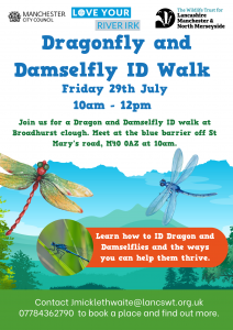 Dragonfly and Damselfly Walk Poster