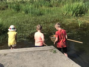 children with nets at side of a pond